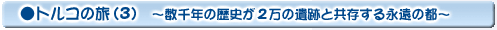 トルコの旅(3)