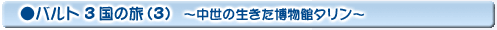 バルト3国の旅(3)