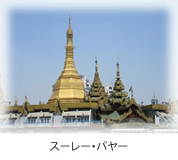 photo19.jpg