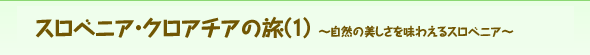 XxjAENA`A̗i1j `R̔𖡂킦X׃jA`