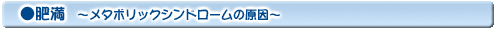 肥満〜メタボリックシンドロームの原因〜