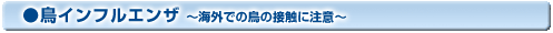 鳥インフルエンザ 〜海外での鳥の接触に注意〜