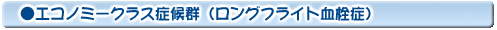 エコノミークラス症候群(ロングフライト血栓症)