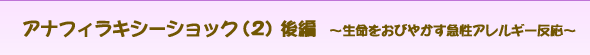 AitBLV[VbN(2)ҁ`т₩}AM[`